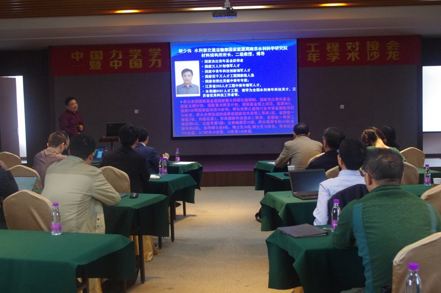 中国力学学会创新驱动助力工程对接会暨第91次青年学术沙龙在南京高淳举行